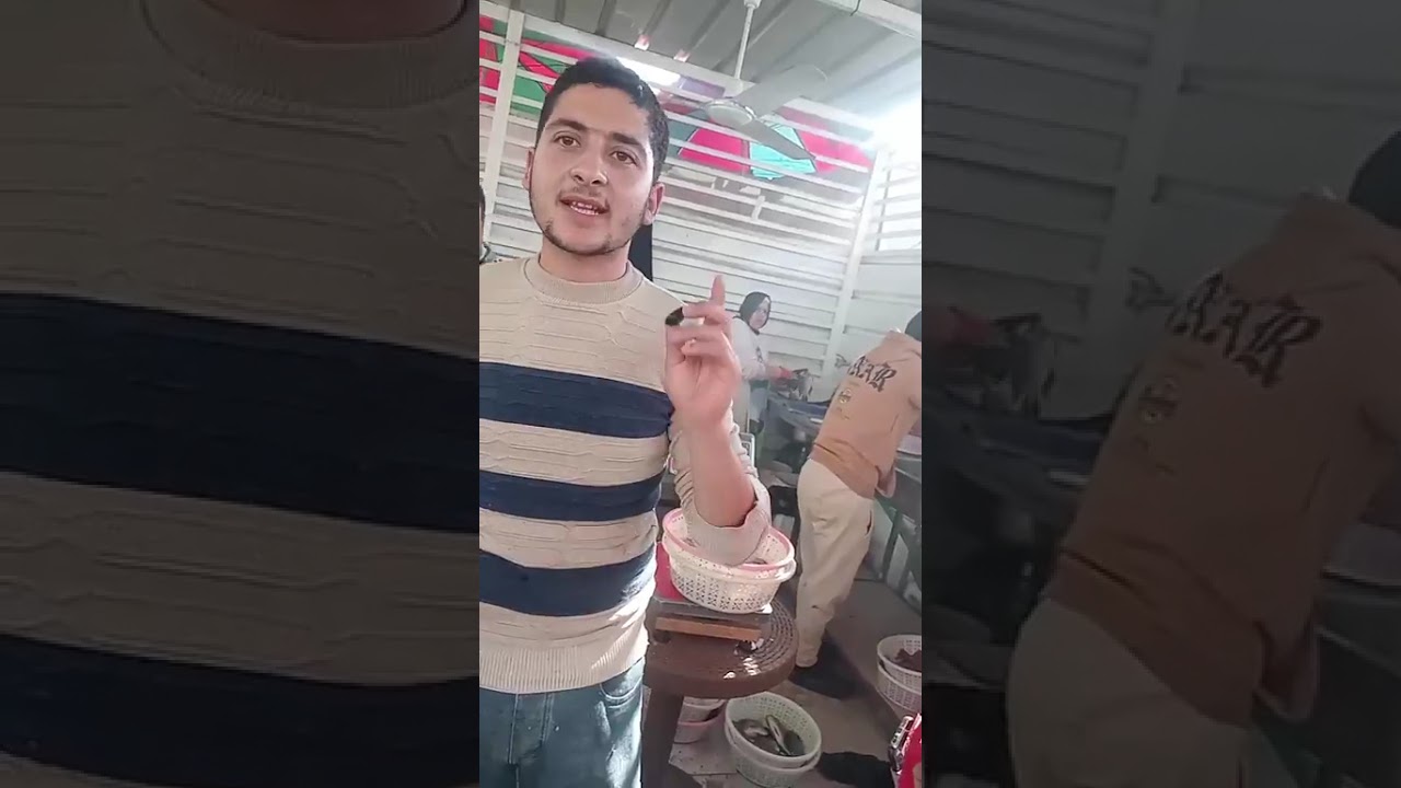 صاحي والسعر مفاجئة.. زحـ مة في المعرض الدائم بالمنصورة: البلطي بـ70 والمرجان بـ 40 والبوري بـ 120 
