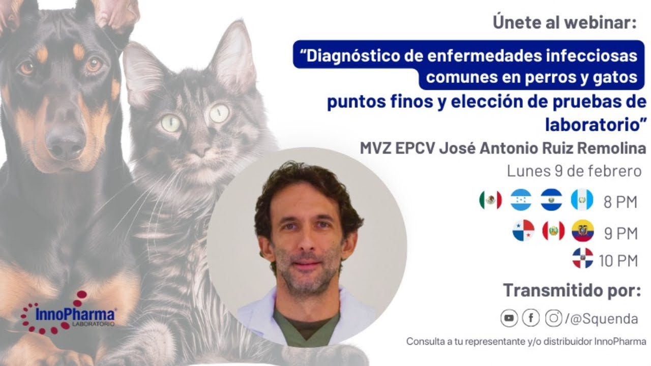 Diagnóstico de Infecciosas en Perros y Gatos: Pruebas de Laboratorio | MVZ José Antonio Ruiz