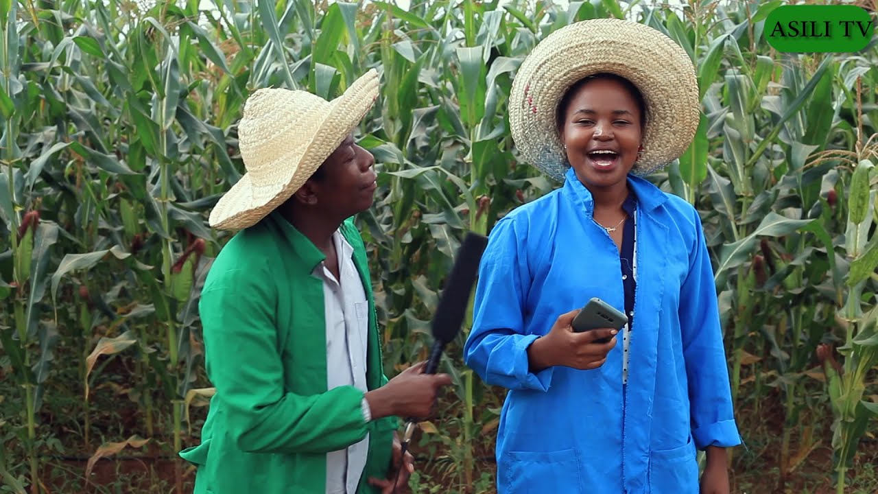 Kilimo Cha mahindi ya kuchoma kinalipa , Bibi Shamba Selina Maswi /Celebrityfarmer  mbele ya Gojo