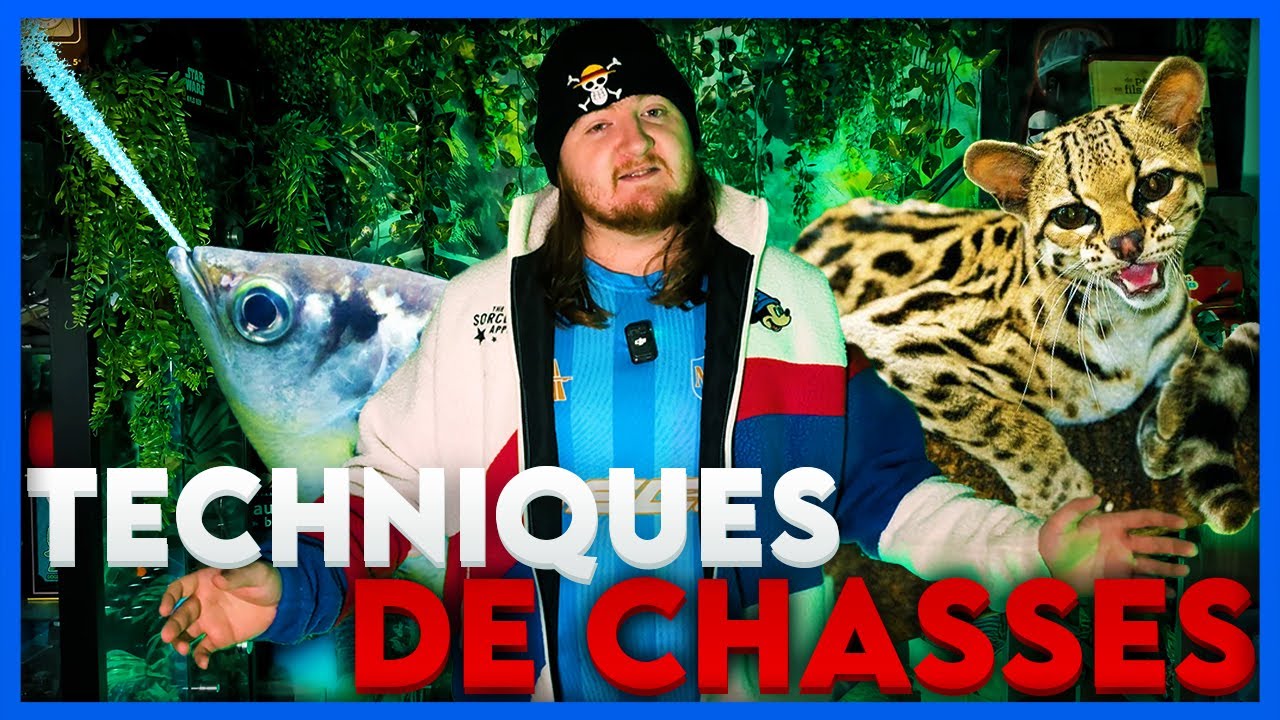 7 techniques de chasse ANIMALES que tu dois absolument conna&icirc;tre