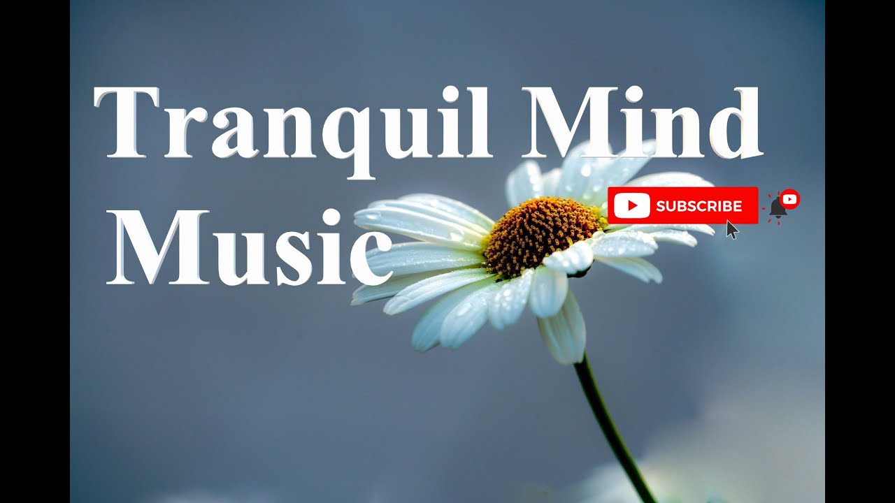 Tranquil Mind Instrumentals & Lofi Beats | No Copyright Chill Aesthetic Background Music