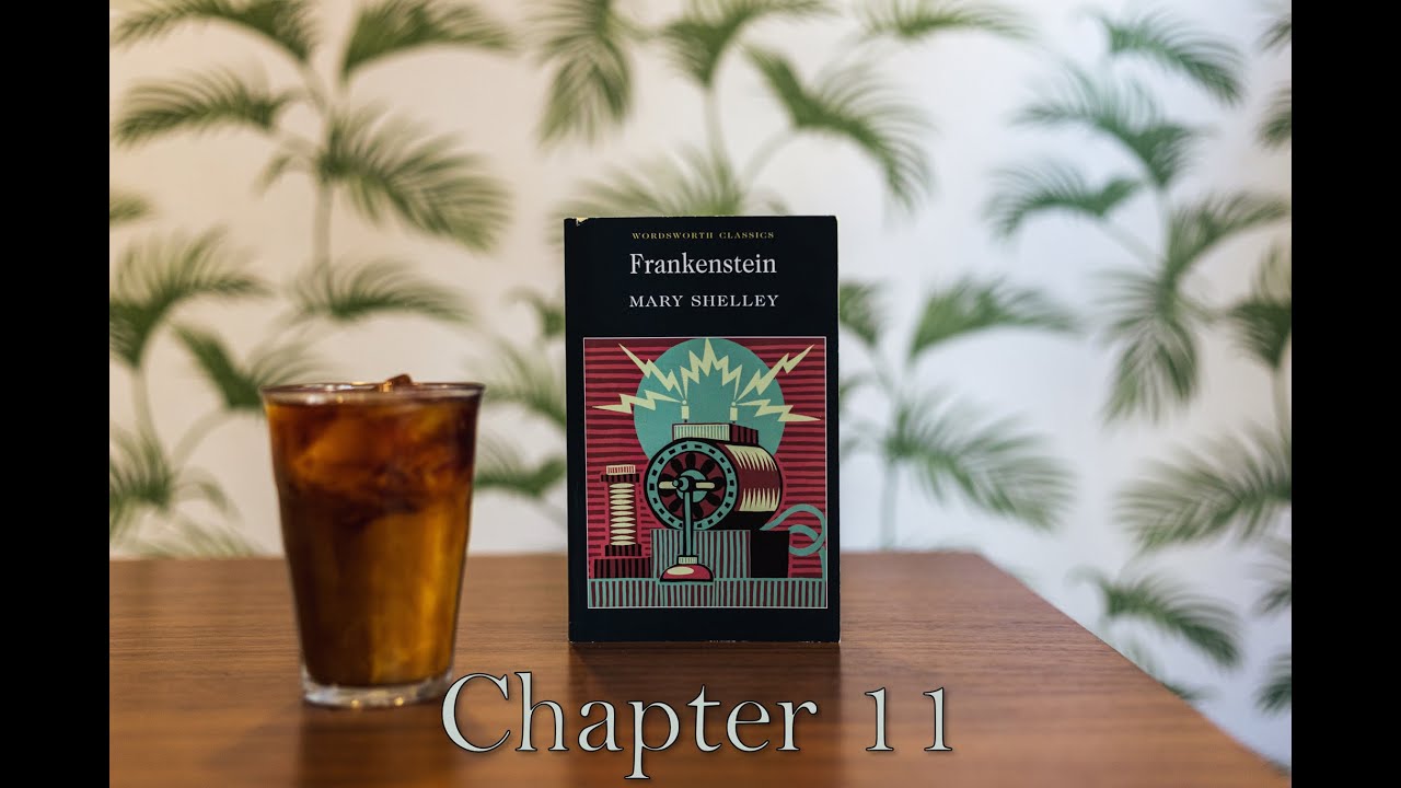 Frankenstein By Mary Shelley chapter 11 - Audiobook