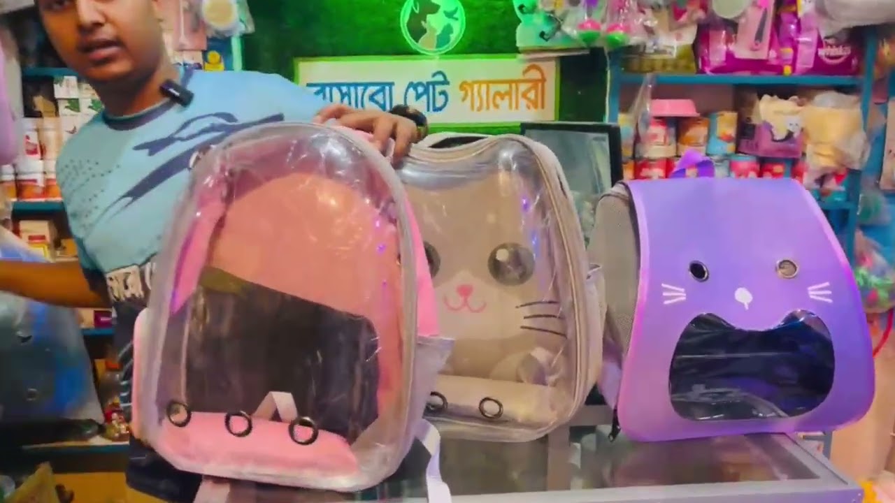 ধামাকা❗অফার~মধু -মধু অফার!সকল প্রকার ক্যাট ফুড পেয়ে যাবেন ফ্রি হোম ডেলিভারিতে -০১৭৯২০৮৮৩৪৯