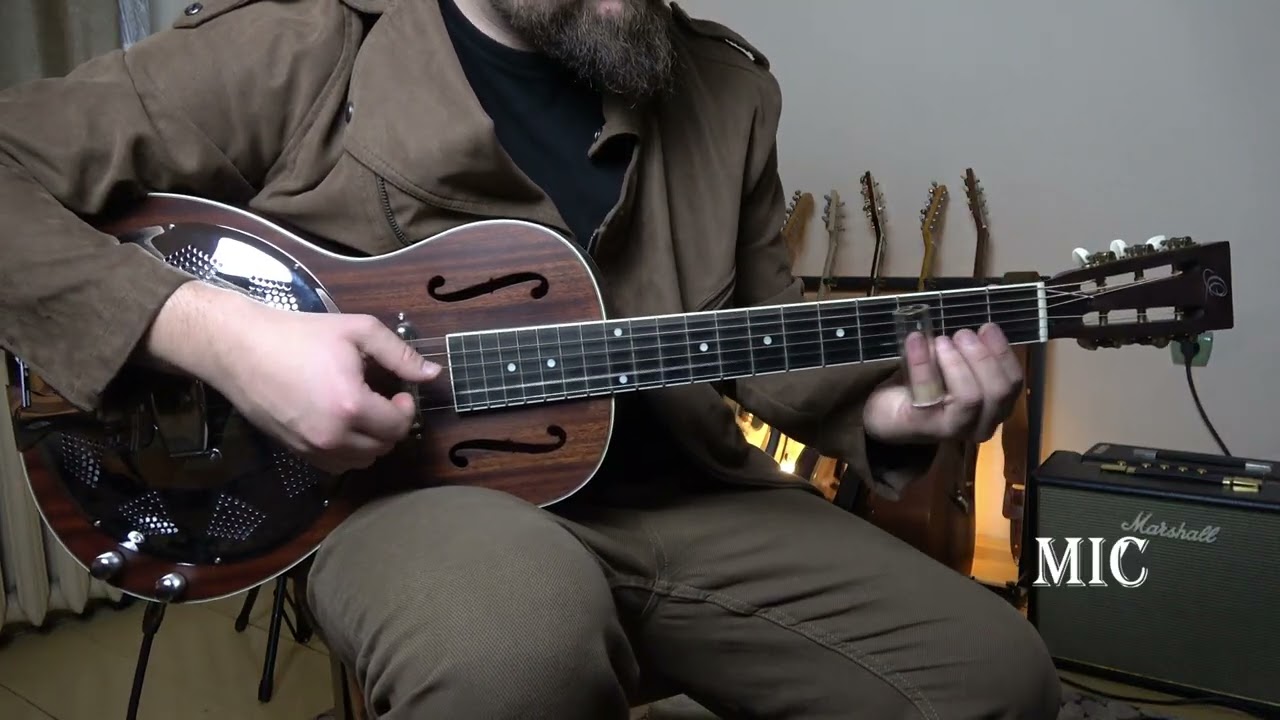 Ortega RRG30E-WB demo blues