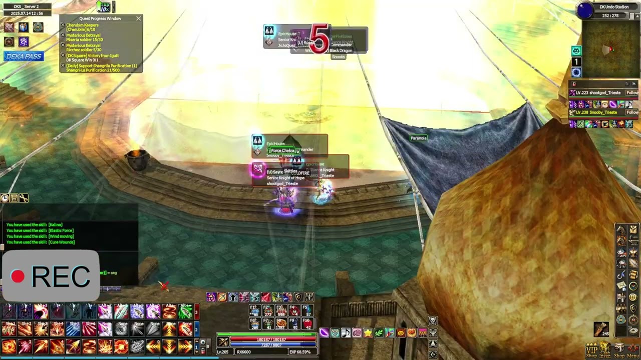 Dekaron Global | PVP 3v3 with Guildmates EpicHouse and ally ButterFlyKisses | Just for fun