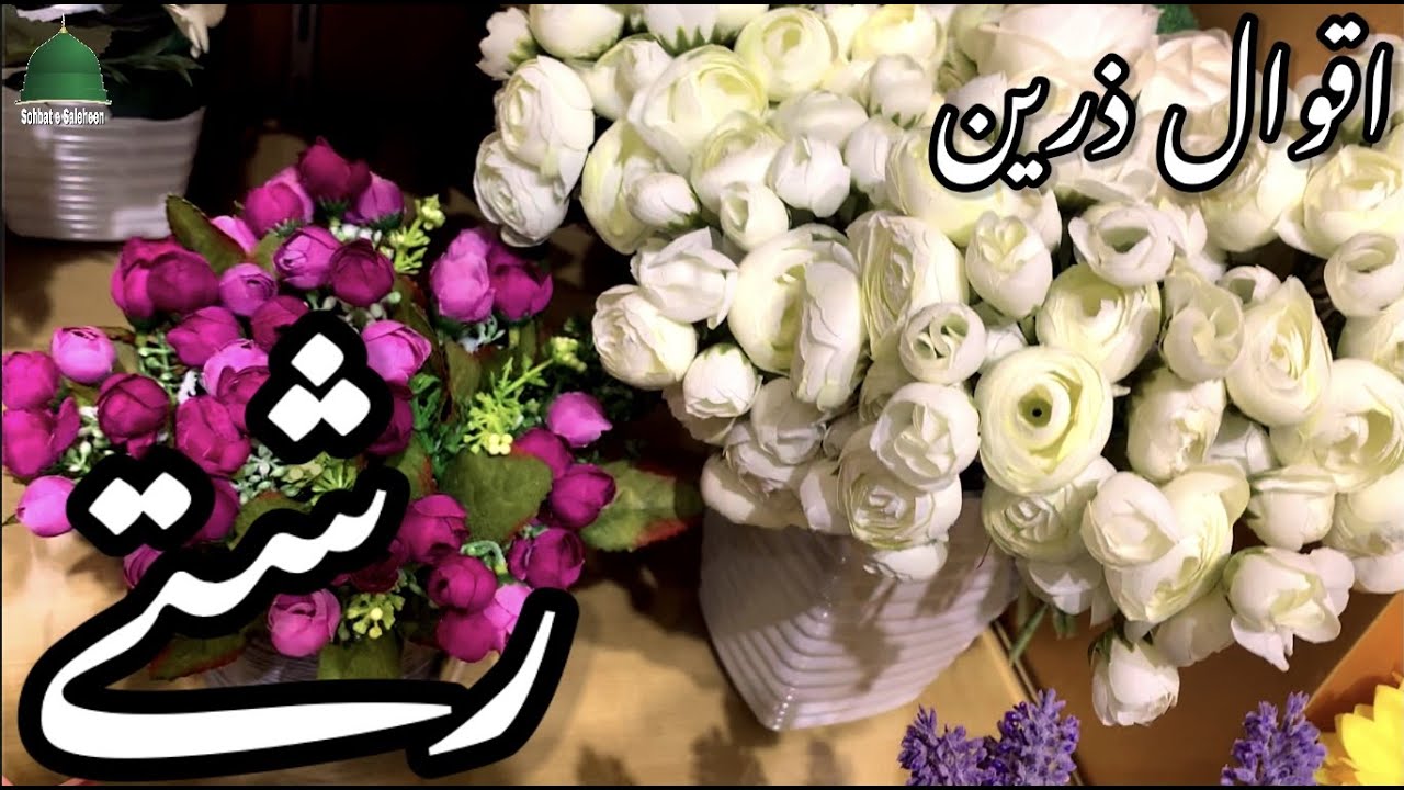 Beautiful Quotes Collection | Golden Words | Aqwal e Zareen in urdu |RISHTAY | رشتے | Relationships