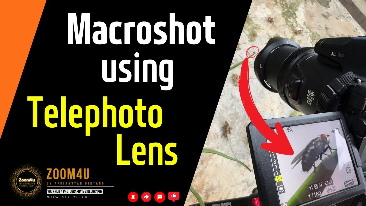 Telephoto Lens Unveils the Microscopic Marvel of a Fly's Face #MacroPhotography #InsectPhotography