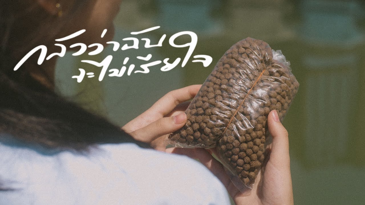 PURPEECH - กลัวว่าฉันจะไม่เสียใจ (Fear) [Unofficial MV]
