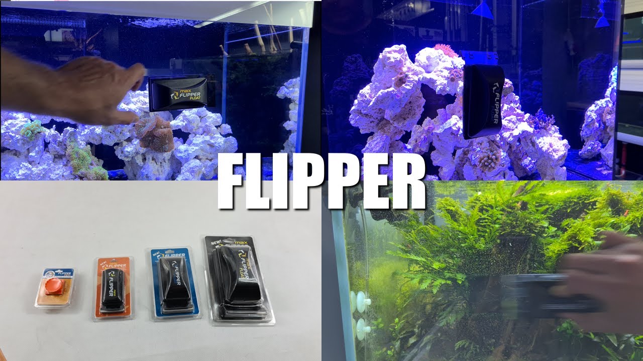 Flipper Pico, Nano, Standard, Max. Czyściki Magnetyczne - Unboxing & Test