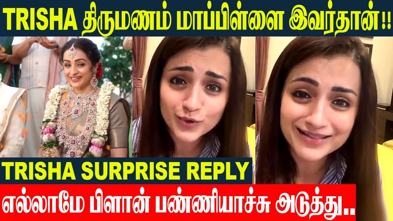 Actress Trisha Marriage Engagement With Australian Business Man? Trisha Sarcastic Reply | Vijay