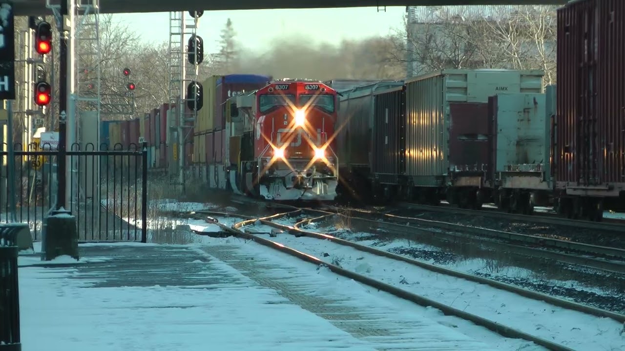 CN Train 368 Eastbound Meets CN Train 149 Westbound January 24, 2025