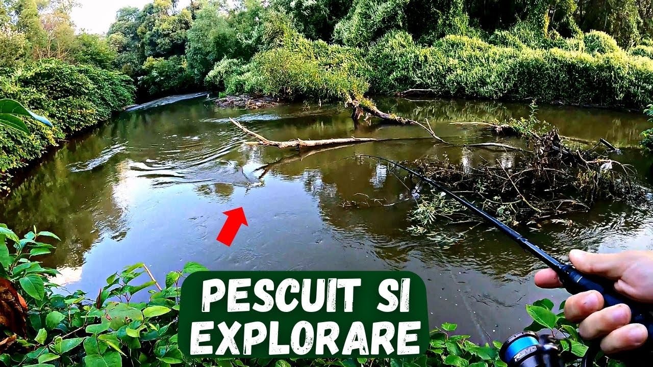 Primii mei CLENI pe TARNAVA MARE (Cautare locuri cu Google Maps)