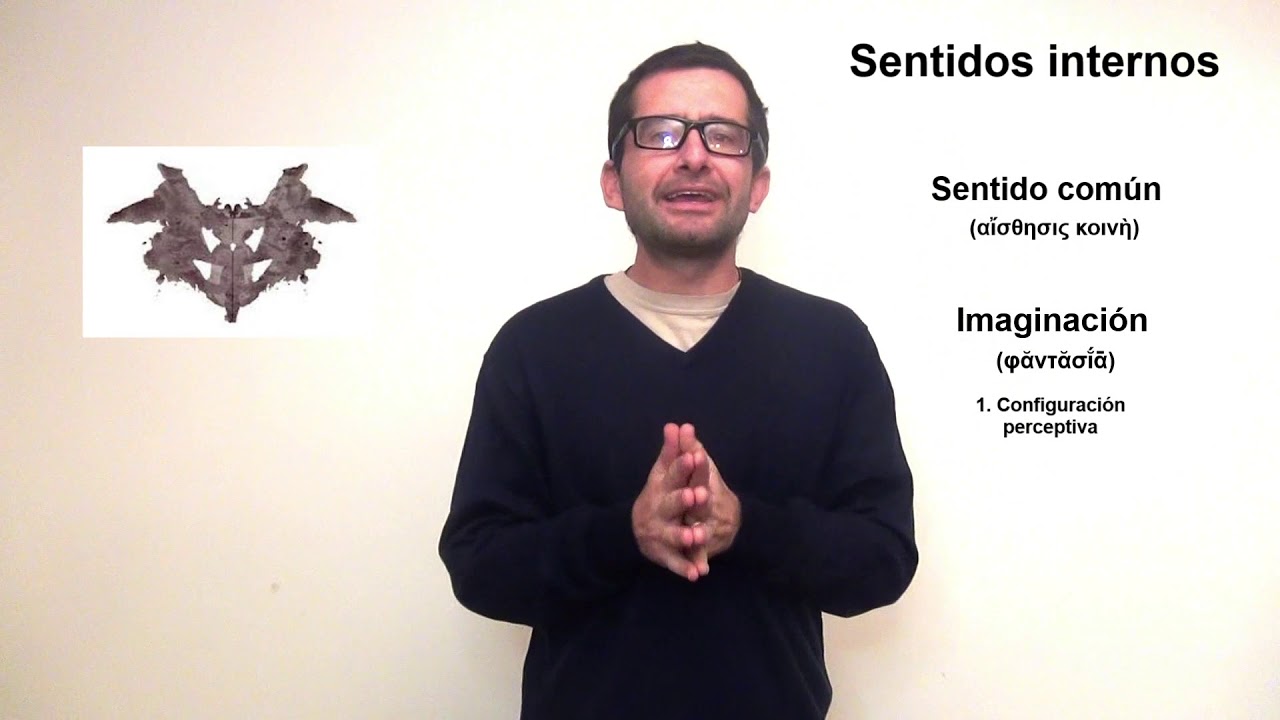 Aristóteles. Sentidos internos