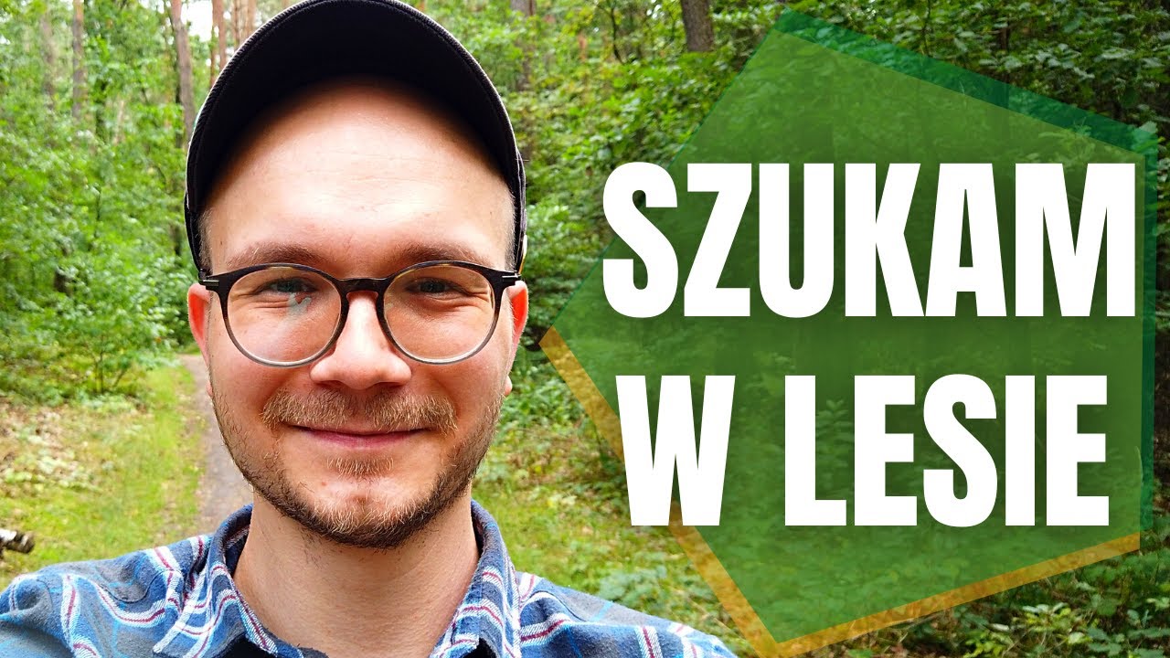 Szukam w lesie 🌳🧭🧠 Śmieci, geocaching, psychologia leśna