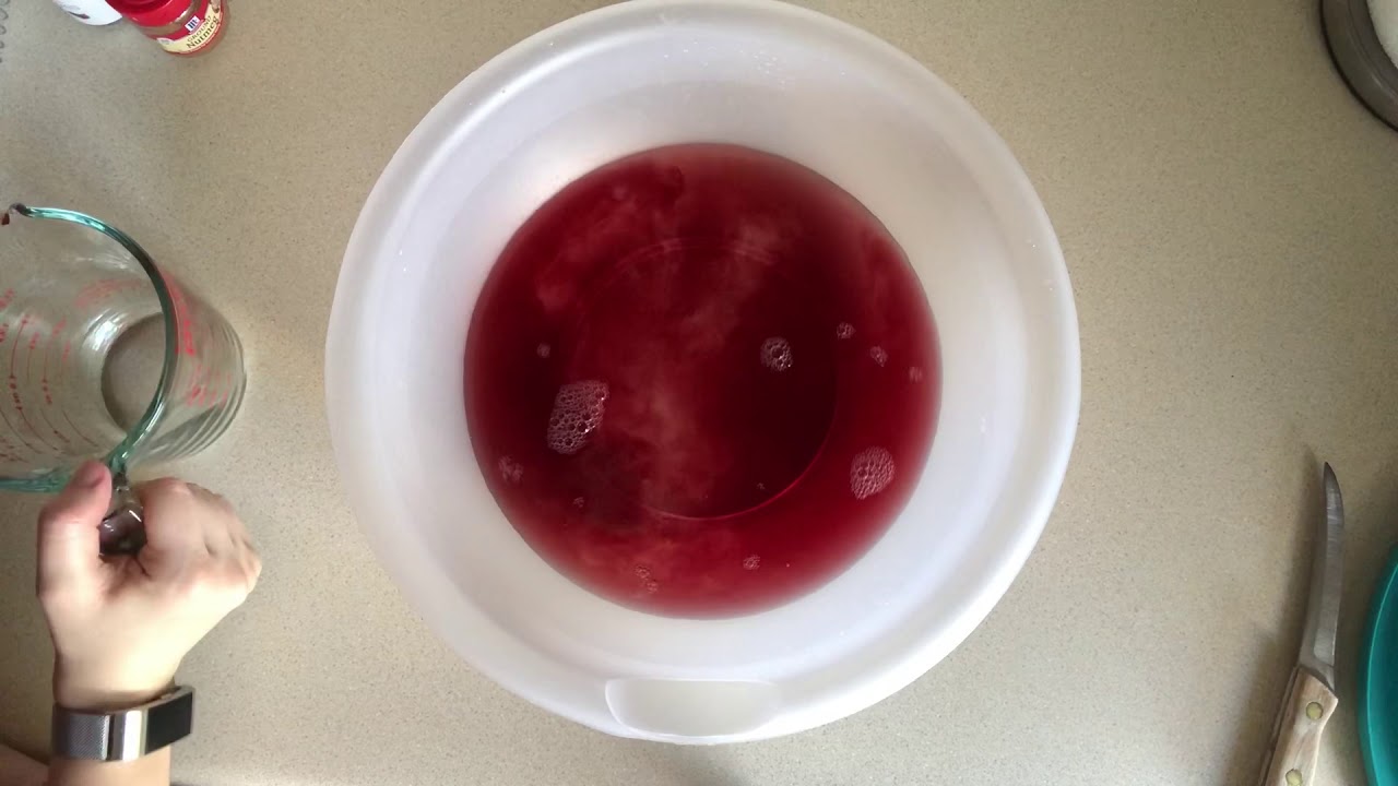 Making Roman Wine!