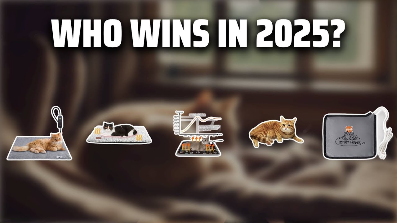 The Top 5 Best Cat Heating Pads in 2025 - Must Watch Before Buying!