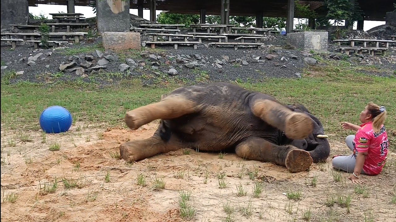 น้องดาวเล่นเตะบอลกับแม่เกือบ.วินาที!