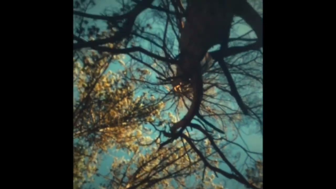 Gobilove - Happened For (official video)
