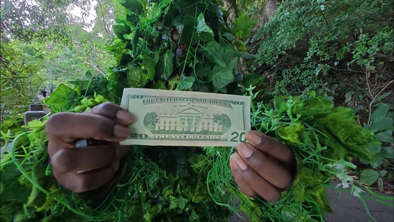 Pegadinha: Gringo presenteou o homem moita com 2000 dólares 💵