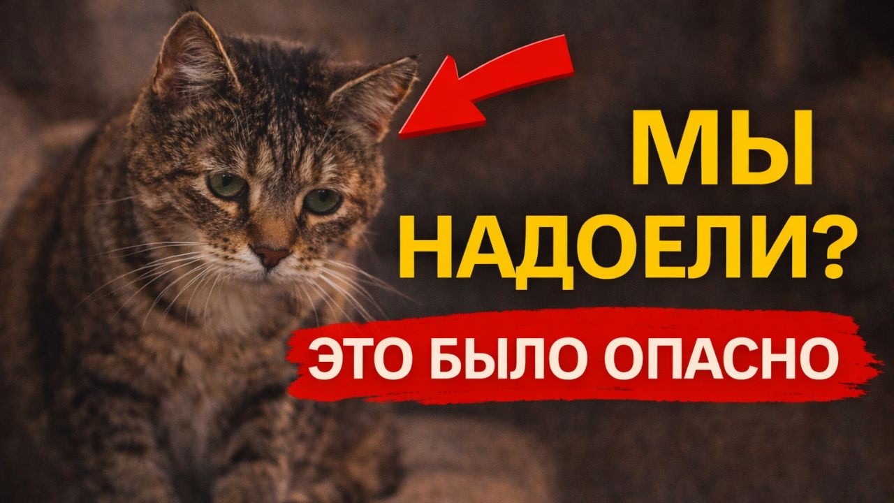 Он ел меньше… и мы не придали этому значения