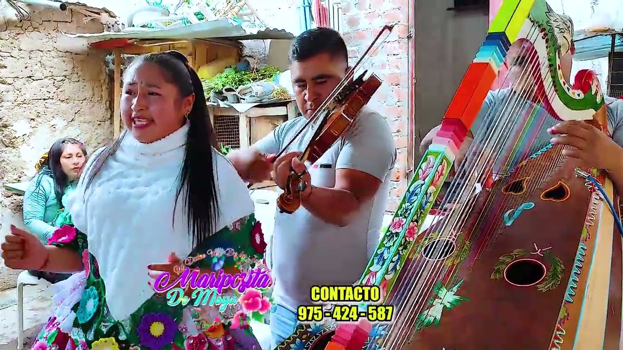 MARIPOSITA de MOYA 2022 JARANA mix BAILABLE 🌺🍸💞