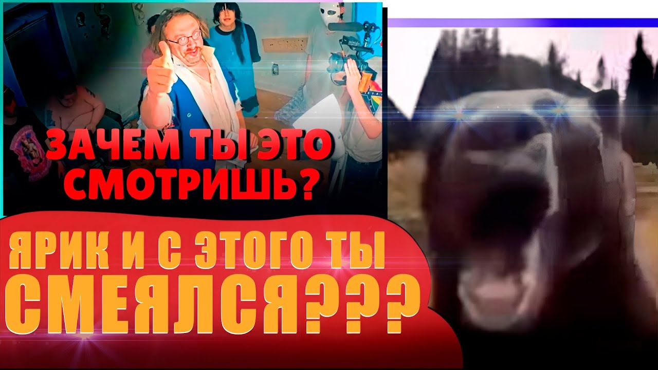 DAWG СМОТРИТ - 42 ДНЯ СУМАСШЕДШЕГО СТРИМА - fishtank