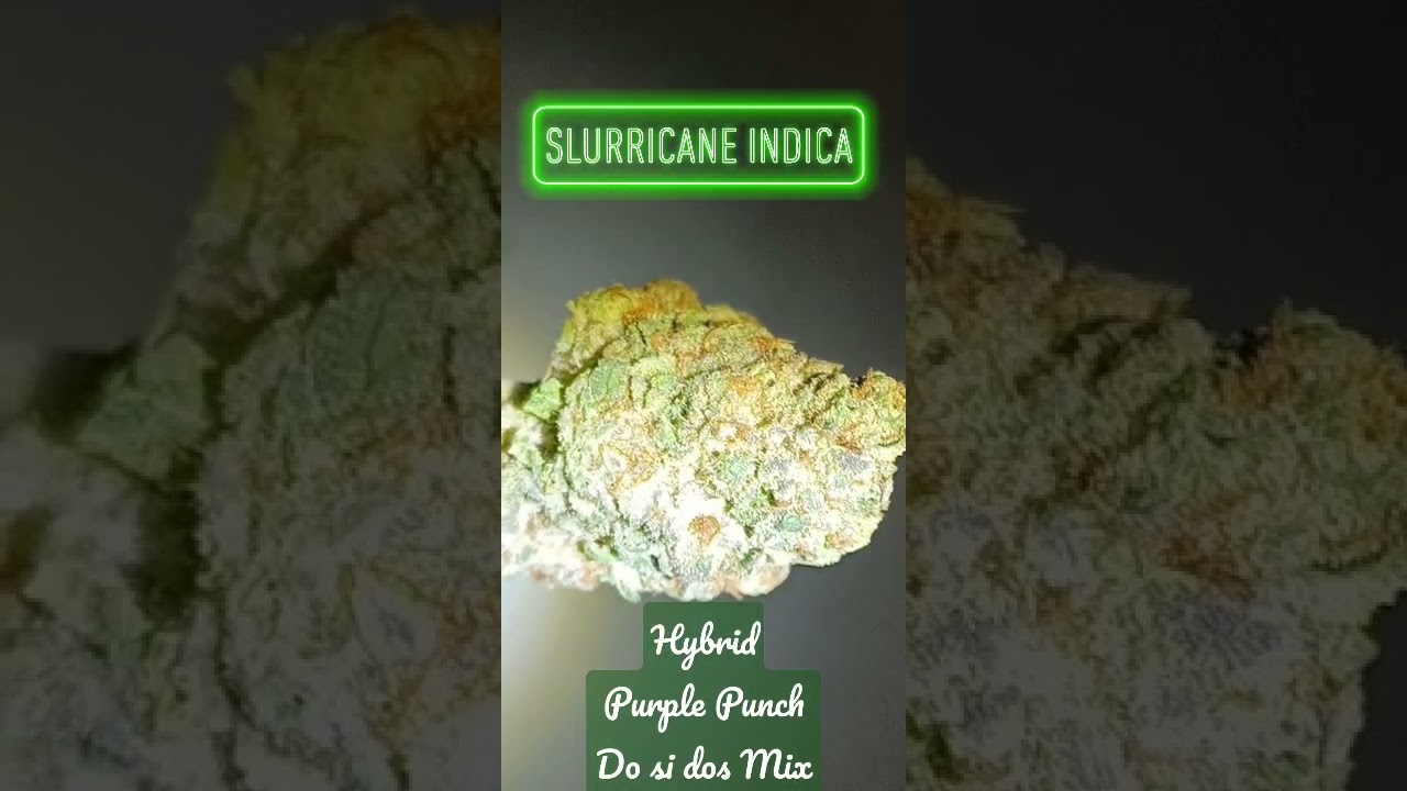Slurricane Indica Cannabis Strain