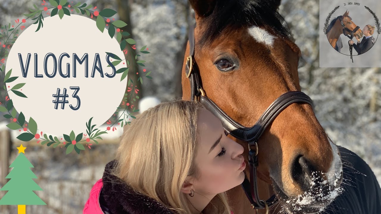 *WŁAŚCICIELKA PRYMUSA NIE UMIE ZAGALOPOWAĆ ?!?* VlogMas #3
