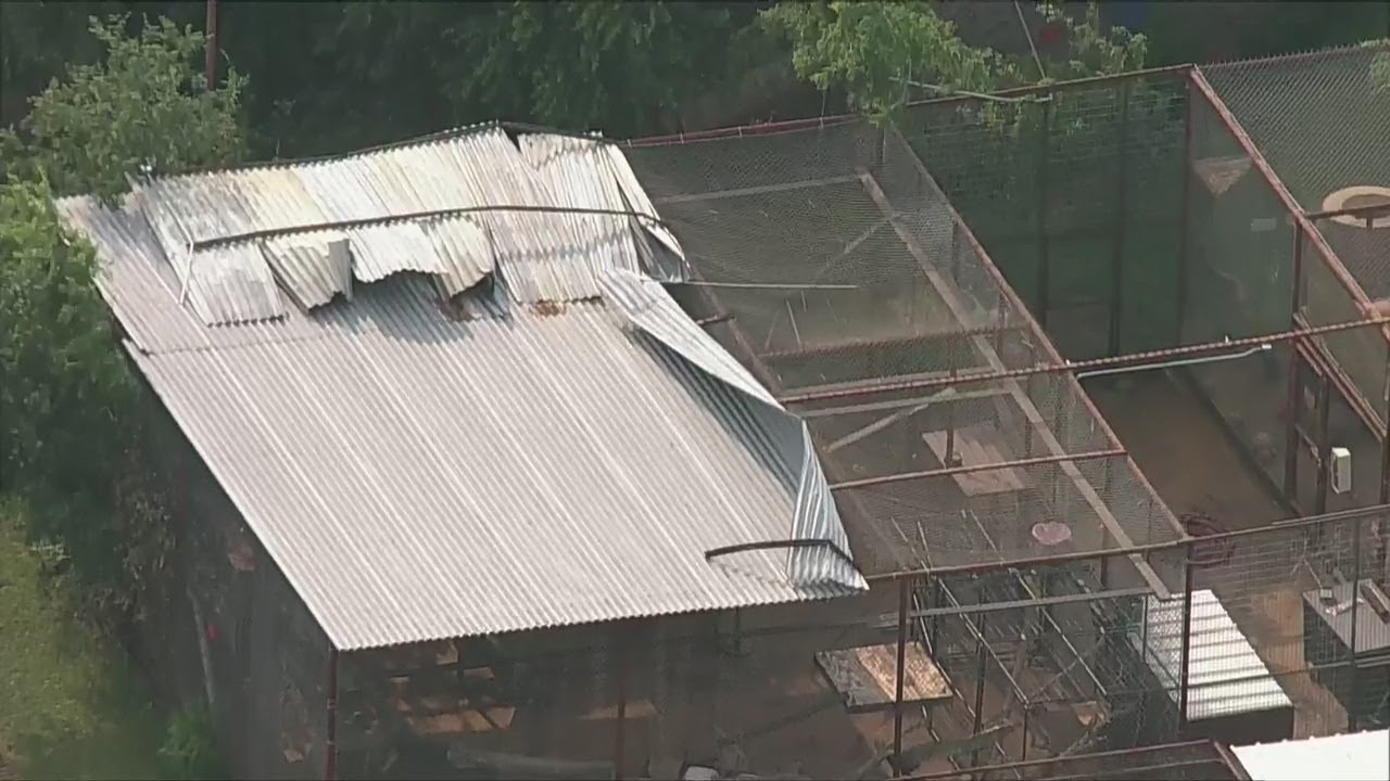 LIVE: North Texas storm damage | FOX 4 News