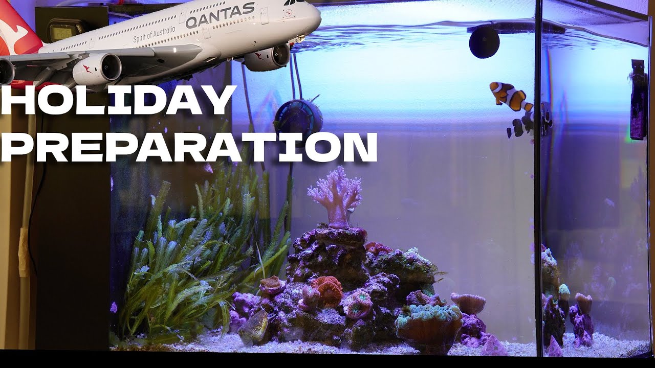 I Spent 3 Weeks Away From My Reef Tank