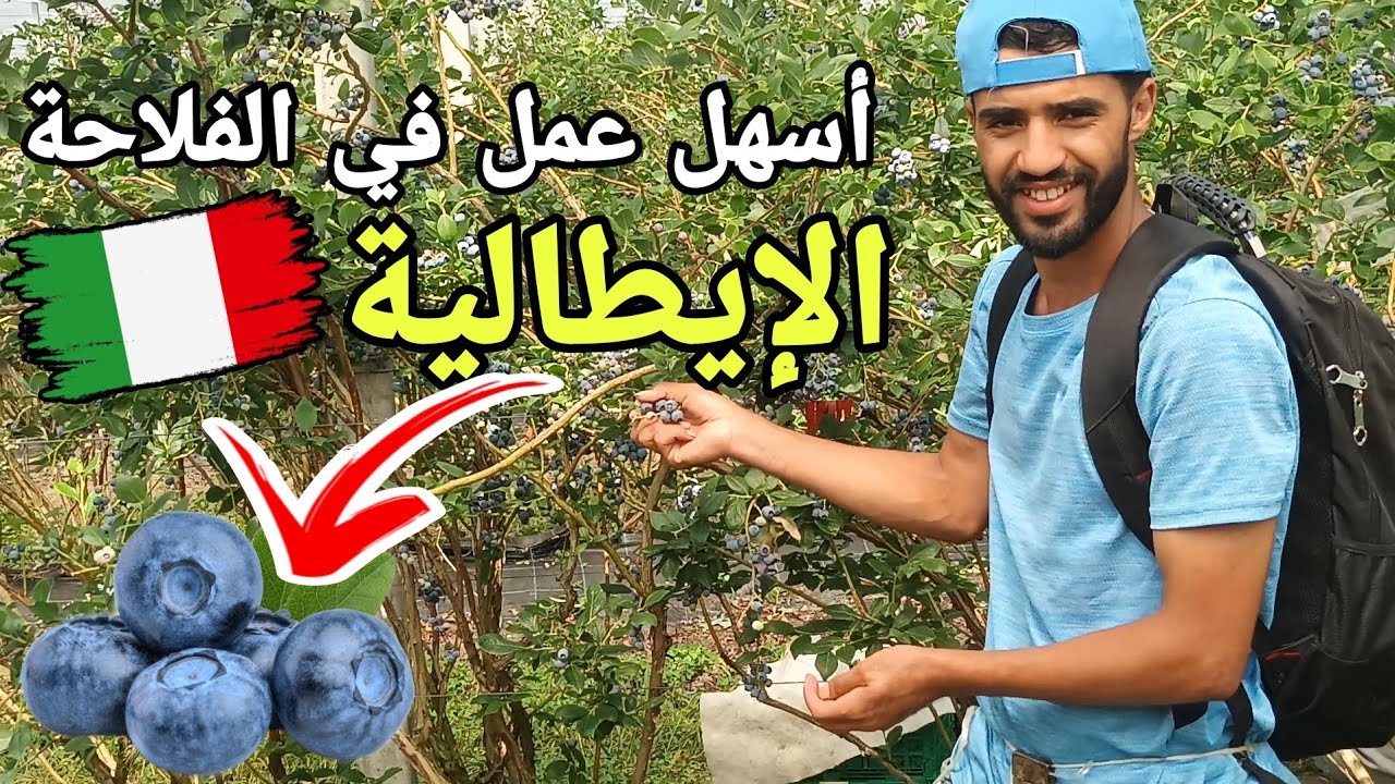 ها كيفاش دوزت نهاري في العمل الفلاحة في إيطاليا.. الجزء الأول
