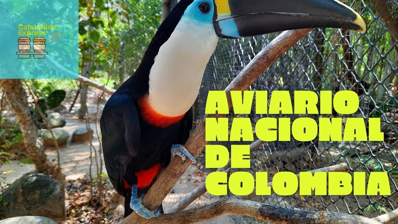 Aviario Nacional de Colombia