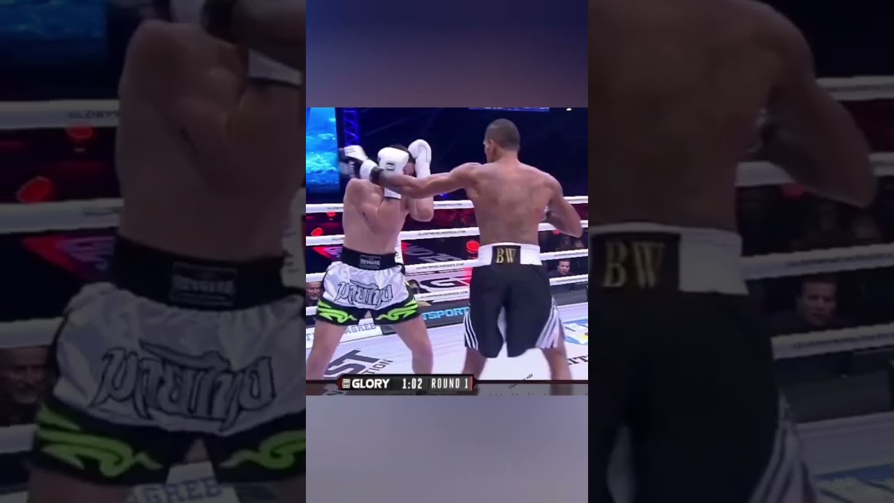 Alex poatan pereira highlights 