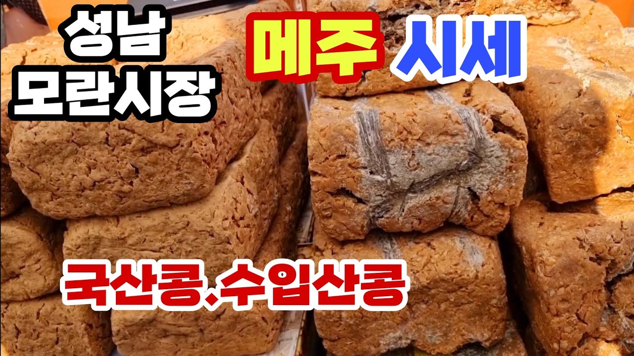 성남모란시장에 메주가 쏟아졌어요           메주시세 국산콩 수입산콩  메주가격 비교 된장 담으실분 여기보세요 잠생이부인