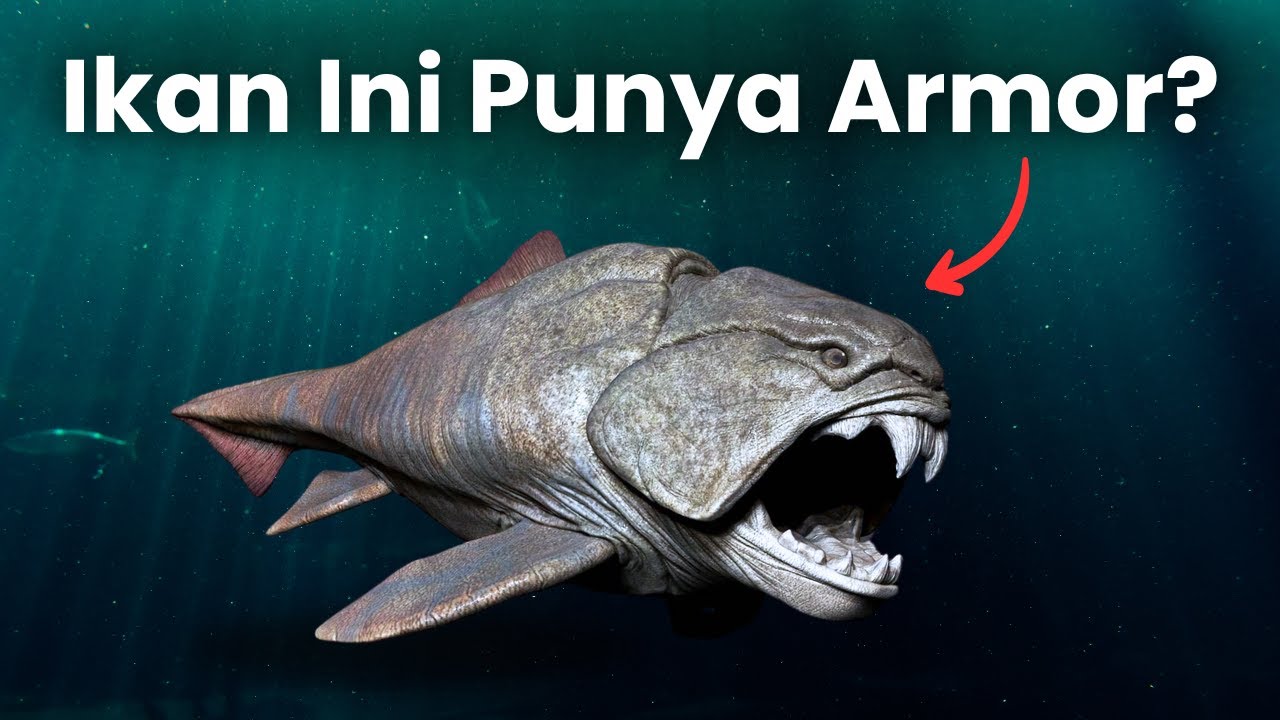 When Fish Have Armor (Tank Role)