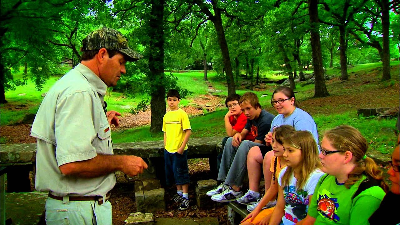 We Are Your Wildlife Department