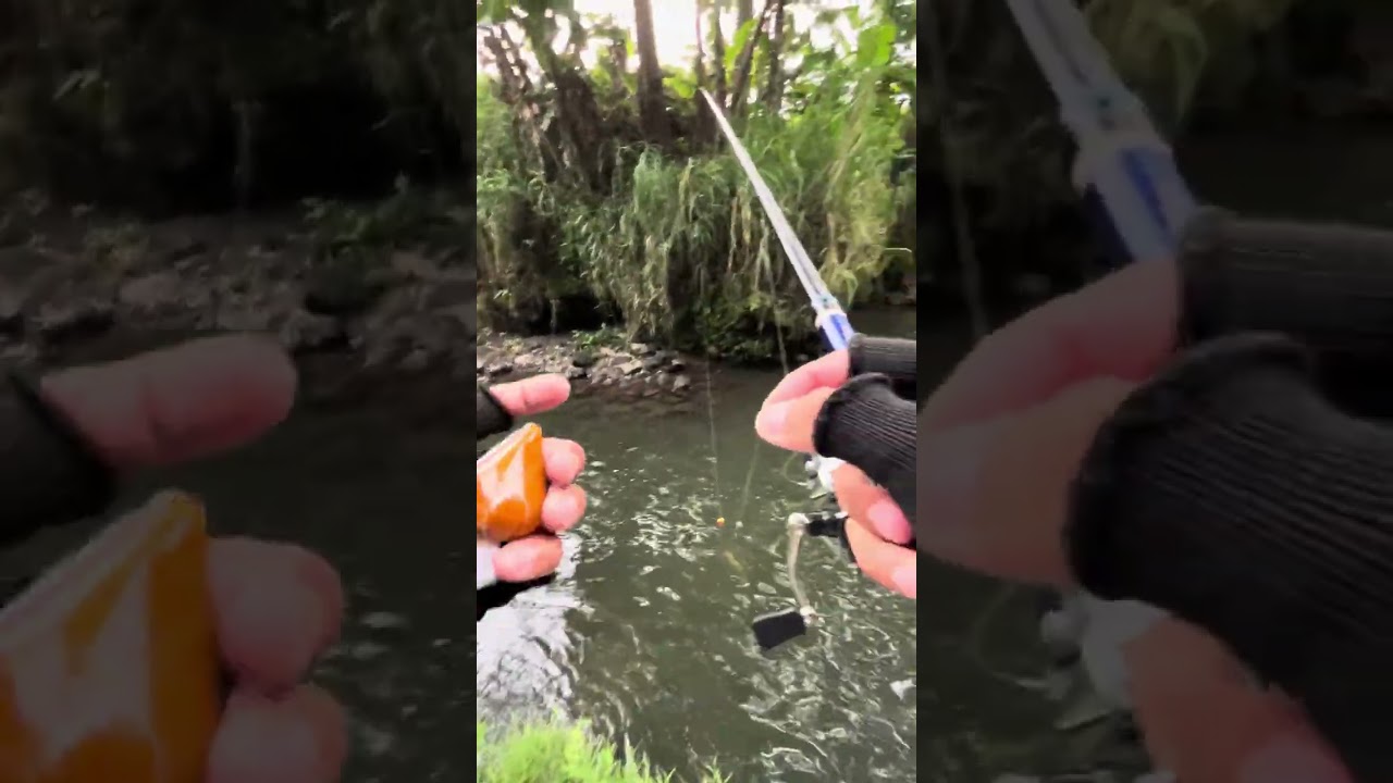 NEMU SPOT MANCING DI SEYEGAN POTENSI KEPEK, Ternyata banyak UCENGnya