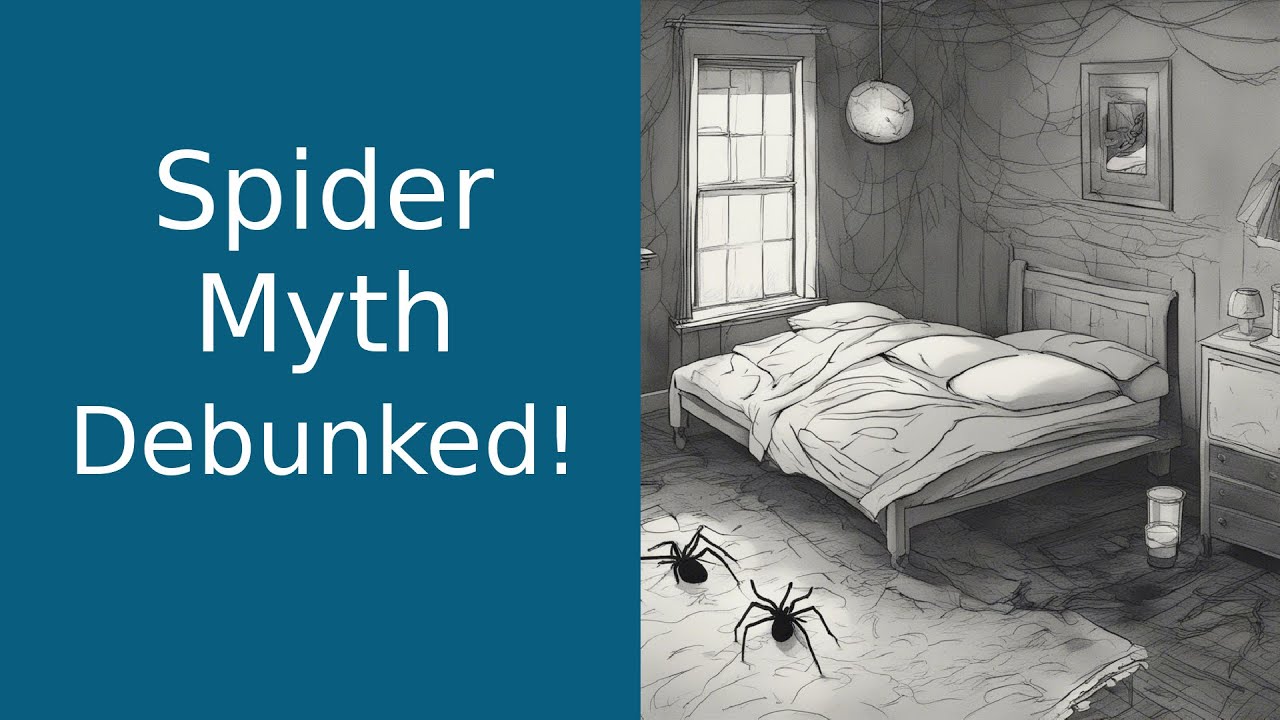 Debunking the Sleeping Spider Myth