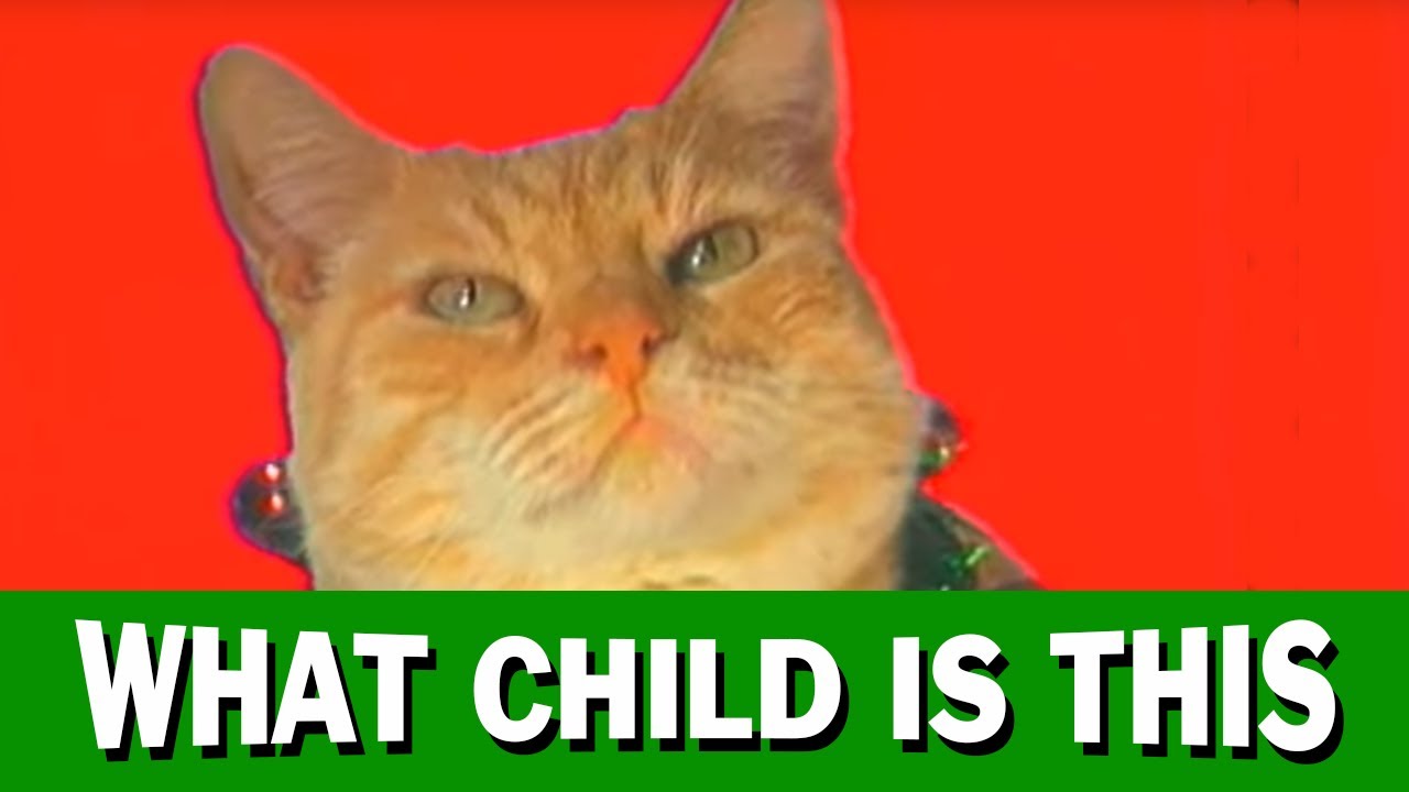 Jingle Cats What Child is This