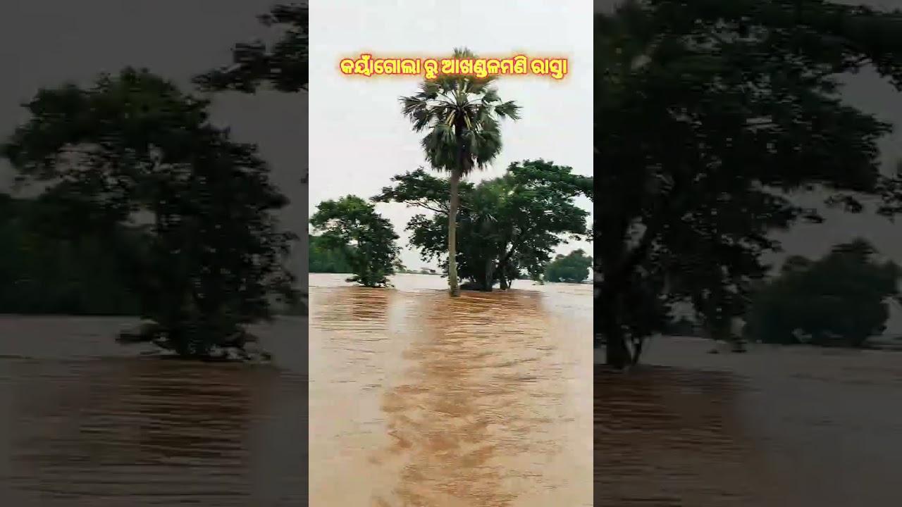 #ଚମକାଇଲା ବନ୍ୟା ଖବର Jajpur Flood| Alert | Baitarani Crosses Danger Mark | Flood Threat in jajpur#cmo