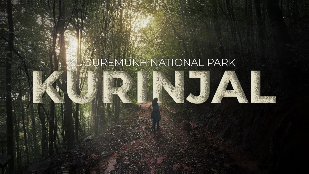 Kurinjal Trek &ndash; The Hidden Gem of Kudremukh! | Navya NC