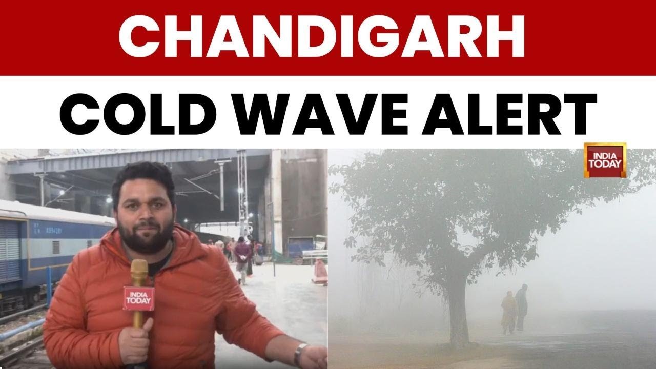 Severe Cold Wave Hits Chandigarh: Trains & Flights Delayed Amid Dense Fog Alerts |Chandigarh Weather