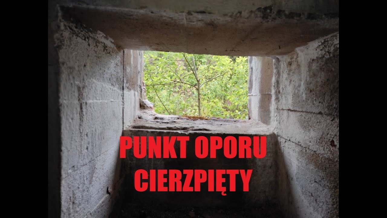 Punkt Oporu Cierzpięty - FOTORELACJA