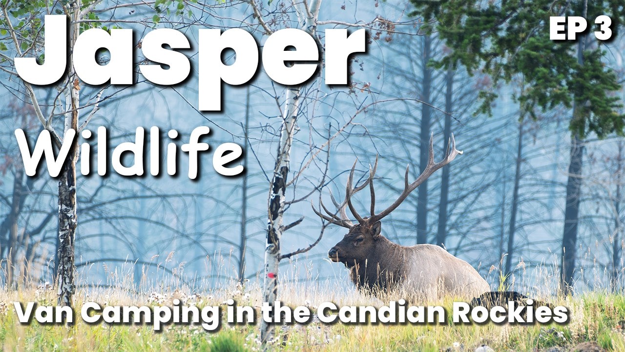 Visit the famous Jasper Nation Park and surrounding area EP 3
