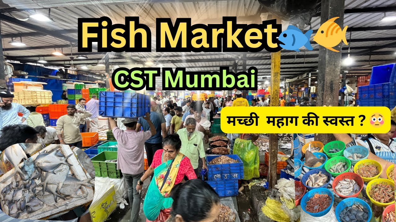 CST Fish Market Mumbai | सर्वात मोठा मच्छि मार्केट 🐟| fish market mumbai | wholesale fish market