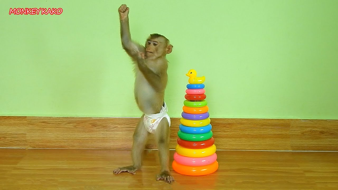 Amazing Animals, Smart Monkey Kako Standing And Play Toys