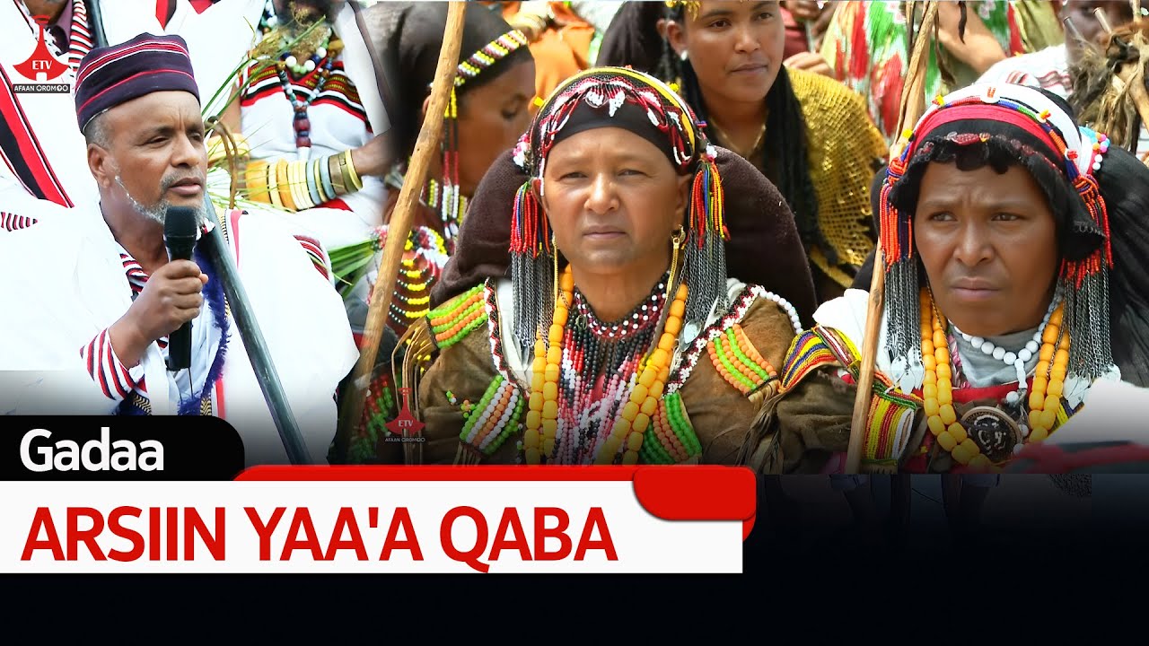 Gadaa - ARSIIN YAA'A QABA etv |Ebc  |Etv Afaan Oromoo| oduu Etv Afaan Oromoo |Ethiopia