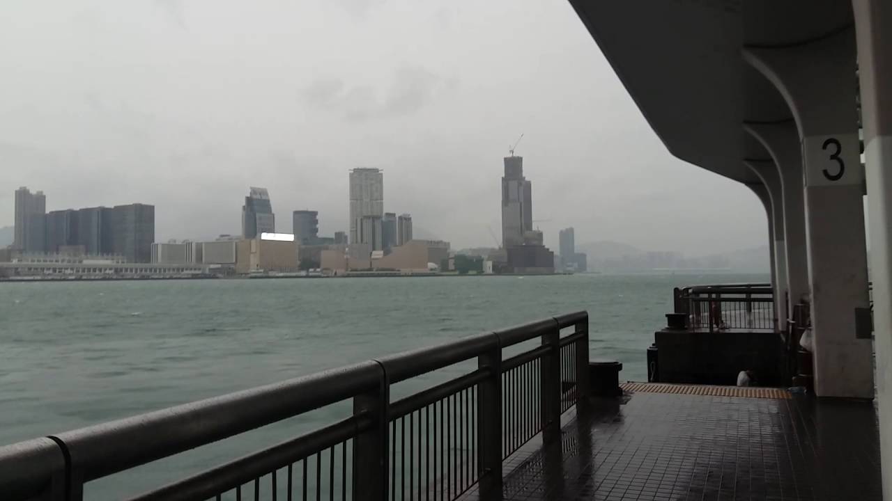 8號風球下海馬 (3)