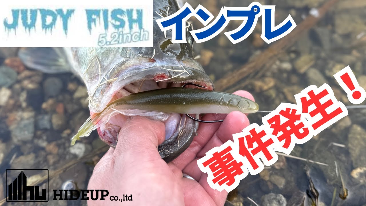 【バス釣り】ジュディーフィッシュ【ハイドアップ】インプレ。初使用でまさかの事件発生、、【2025年最新ルアー】【釣れるセッティング】【使い方解説】【JUDY FISH】【ノーシンカー】【ミドスト】