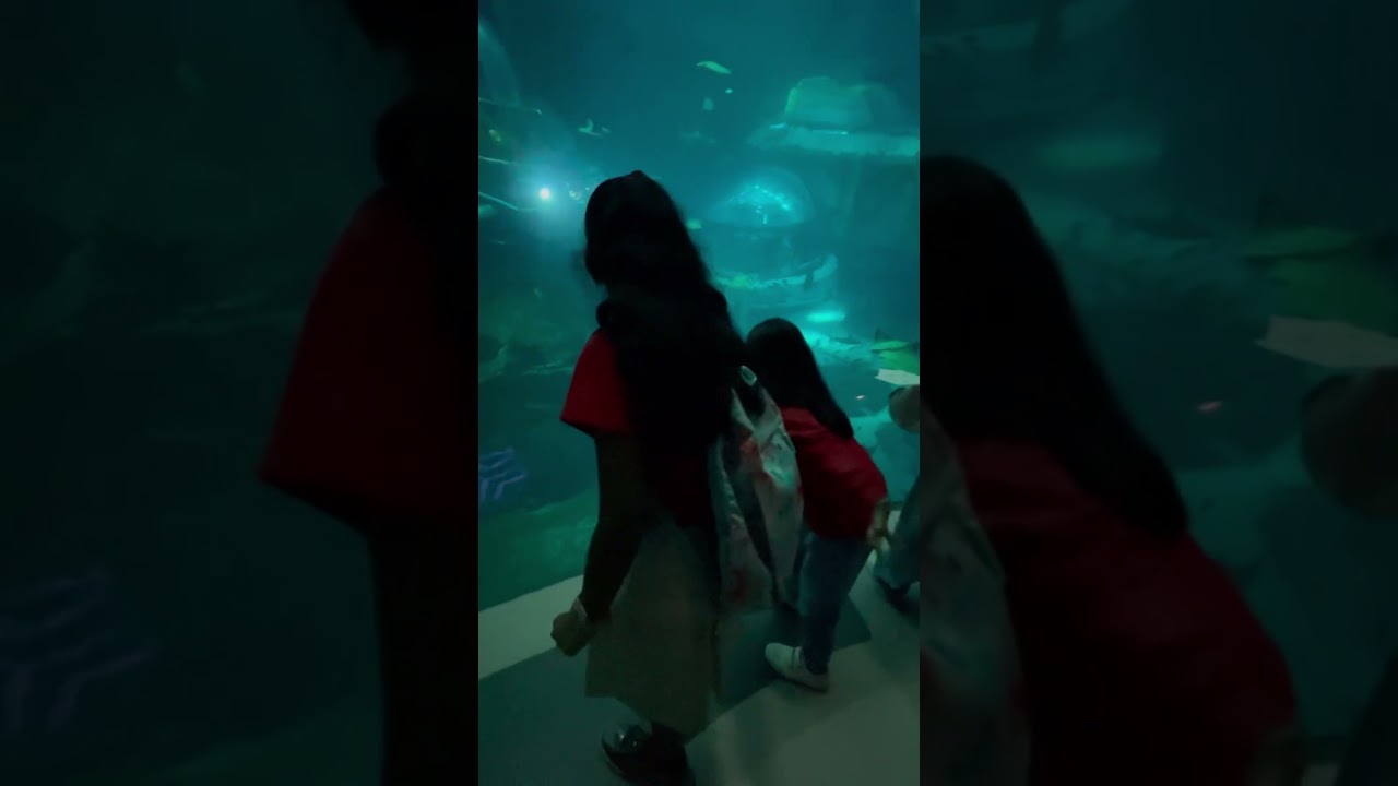 Sea world abudhabi ❤️❤️❤️❤️😃🤡🤓🥸🤪😇👍😍🙏